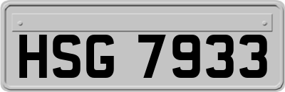 HSG7933