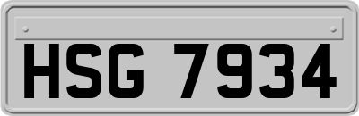 HSG7934