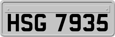 HSG7935