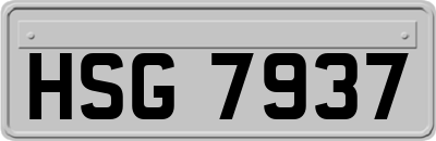 HSG7937