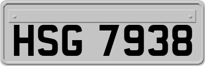 HSG7938