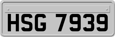HSG7939