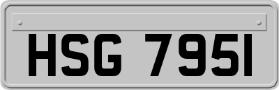 HSG7951