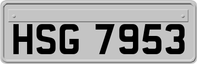 HSG7953