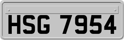 HSG7954