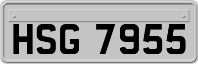 HSG7955