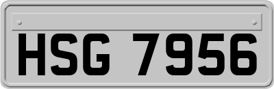 HSG7956