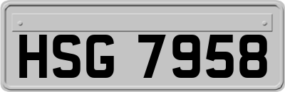 HSG7958