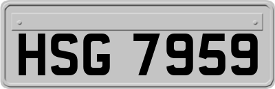 HSG7959