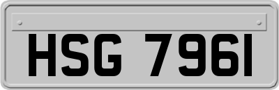 HSG7961