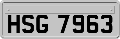 HSG7963