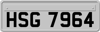 HSG7964