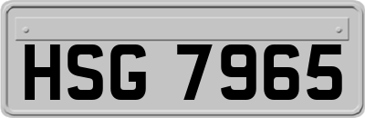 HSG7965
