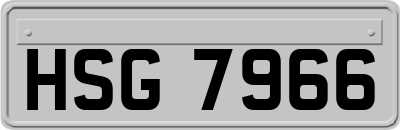 HSG7966