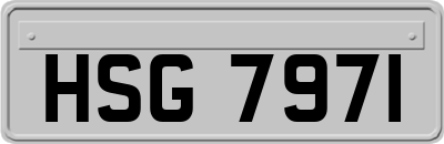 HSG7971