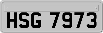 HSG7973