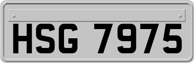 HSG7975