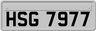 HSG7977
