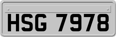 HSG7978