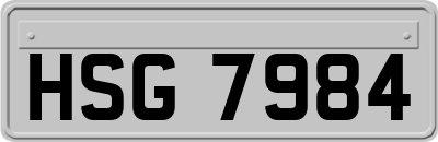 HSG7984