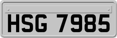 HSG7985