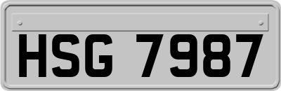 HSG7987