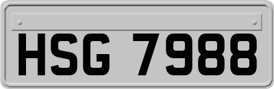 HSG7988