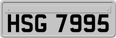 HSG7995