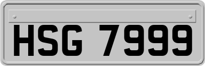 HSG7999