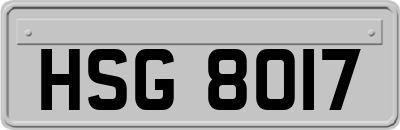 HSG8017