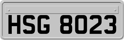 HSG8023