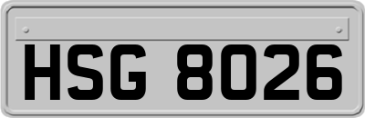 HSG8026