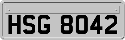 HSG8042