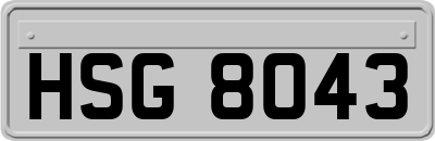 HSG8043
