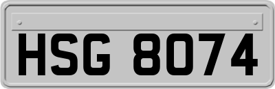 HSG8074