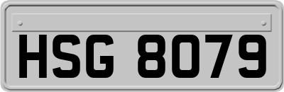 HSG8079