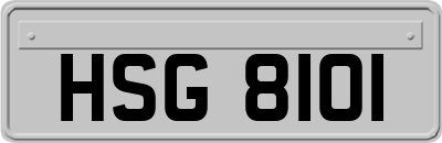 HSG8101