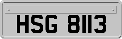 HSG8113