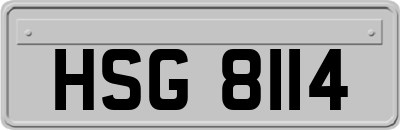HSG8114