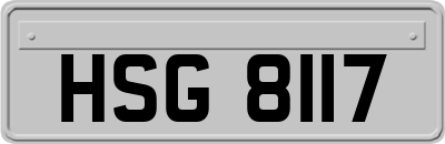 HSG8117