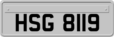 HSG8119