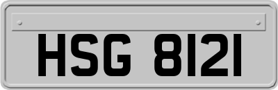HSG8121