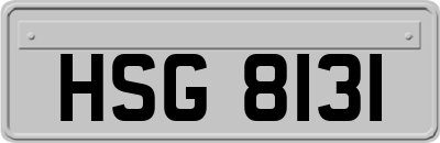 HSG8131