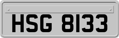 HSG8133