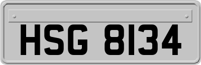 HSG8134