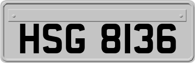 HSG8136