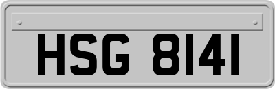 HSG8141