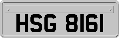 HSG8161