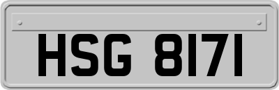 HSG8171