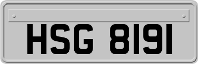 HSG8191